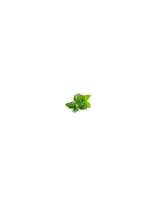 Organic Peppermint Essential Oil 15ml