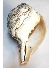 Sacred Tibetan Conch