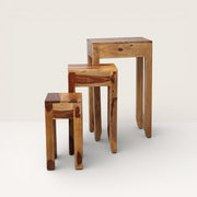 Set of nesting tables in recycled sheesham wood