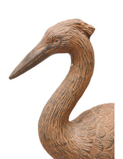 Cigogne debout
