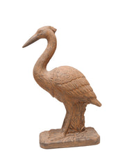 Cigogne debout