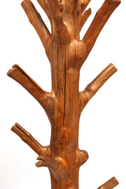 Teak tree COAT RACK