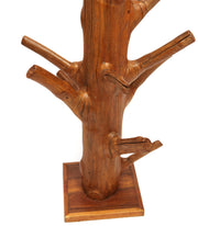 Teak tree COAT RACK
