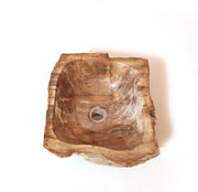 Waschbecken aus versteinertem Holz - 3
