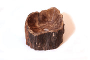 Fossilized wood sink -4