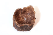Fossilized wood sink -4