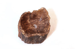 Fossilized wood sink -4