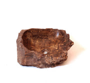 Petrified wood basin - 5