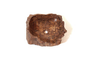 Petrified wood basin - 5