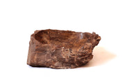 Petrified wood basin - 5