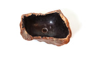 Fossilized wood sink - 6