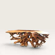 Grande console racine de teck - pièce unique