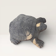 Schildkrötenstatue der Weisheit