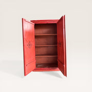 Hand-painted wooden cabinet — Interlacing & Flowers Rajasthan 2