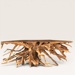 Grande console racine de teck - pièce unique