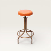 Adjustable Bar Stool