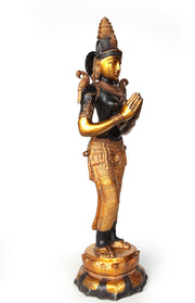 Standing Woman in Bronze 