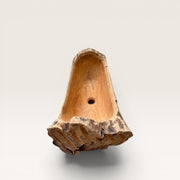 Fossilized wood sink -4