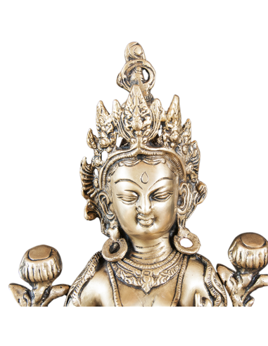 Donna indiana - Tara