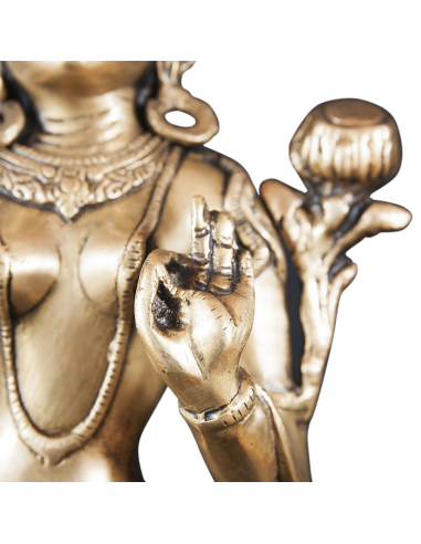 Donna indiana - Tara