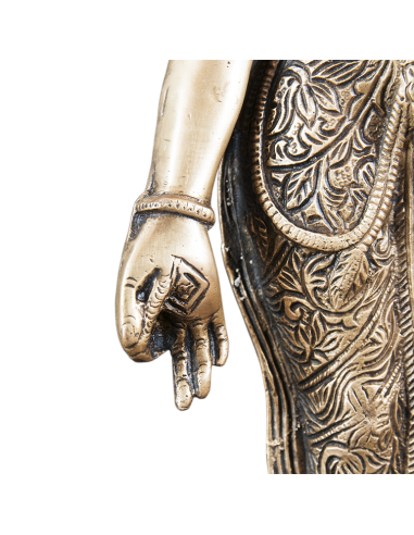 Donna indiana - Tara