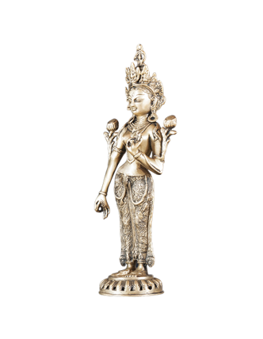 Donna indiana - Tara