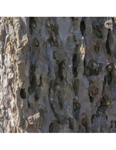 Felsspitze des grünen Berges