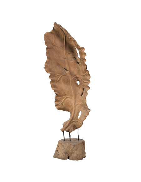 Foglia di teak vecchio