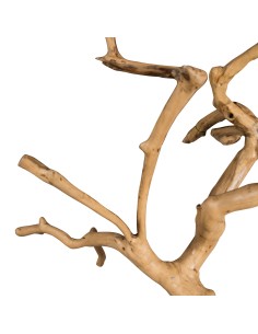 Arbre en teck « Amodini » 2