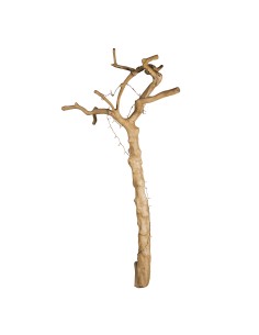 Arbre en teck « Amodini »