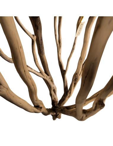 Arbre en teck « Fulki »