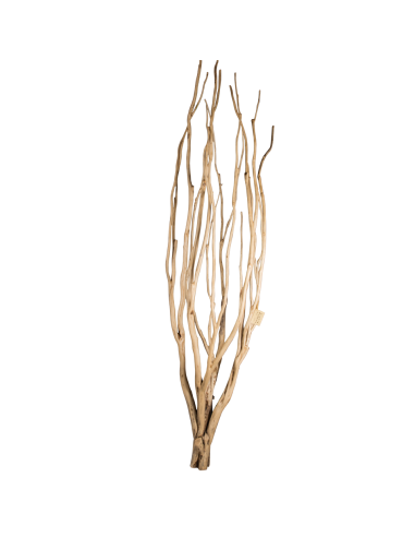 Arbre en teck « Fulki »