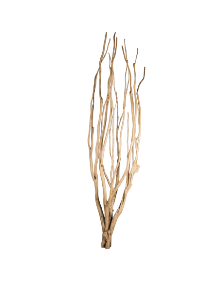 Arbre en teck « Fulki »