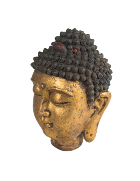 Tte de buddha - H18x0x0