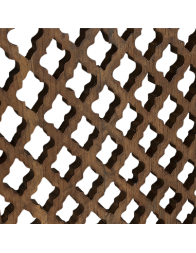 Fenêtre ancien du Rajhastan