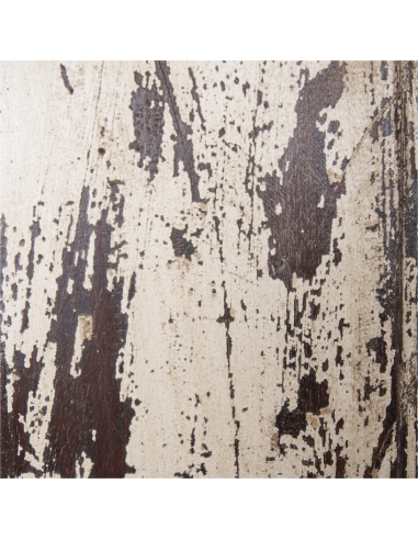 Fenêtre ancien du Rajhastan