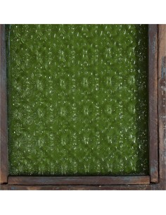 Fenêtre ancien du Rajhastan 2