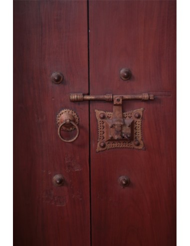 "Thrissur" Antique door- unique piece