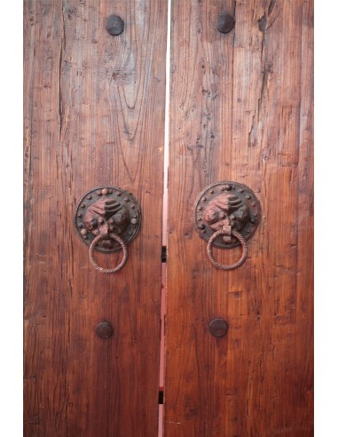 "Fengjing" Antique door - unique piece