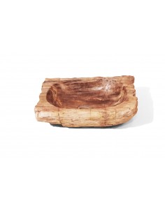 Fossilized wood sink - 1