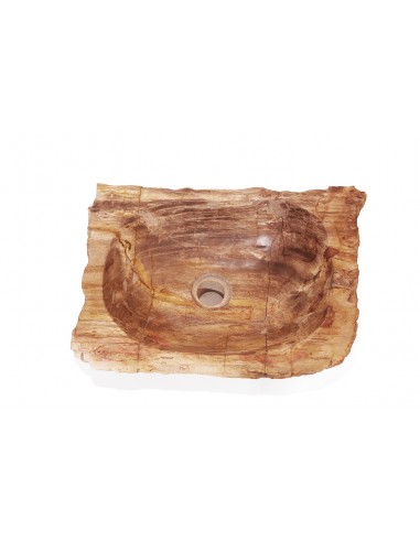Fossilized wood sink - 1