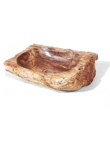 Fossilized wood sink - 1