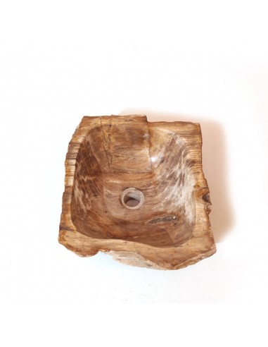 Fossilized wood sink - 3