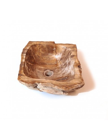 Fossilized wood sink - 3