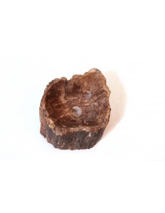 Fossilized wood sink - 4