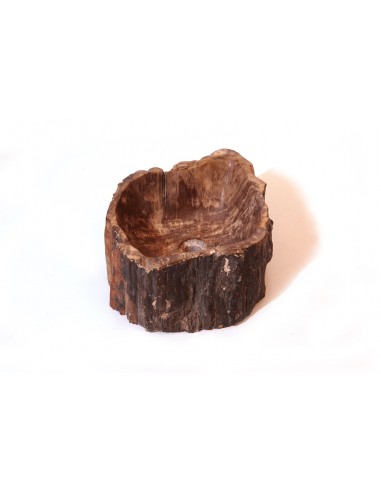 Waschbecken aus versteinertem Holz - 4
