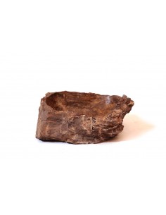 Fossilized wood sink - 5