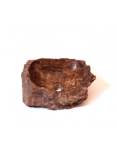 Fossilized wood sink - 5