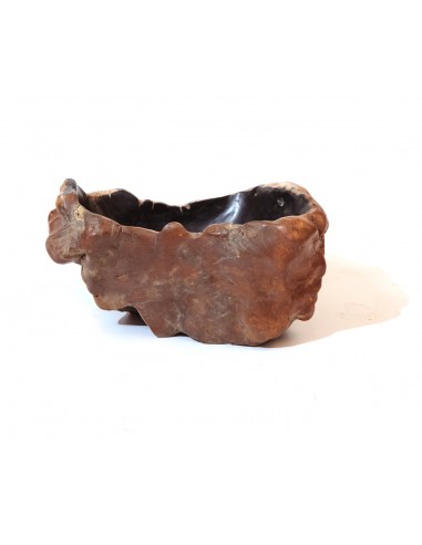 Fossilized wood sink - 6
