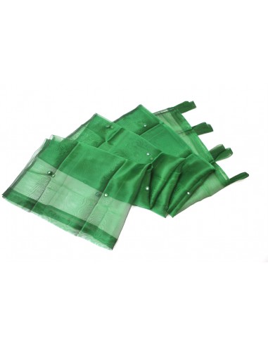 Organza curtain and mirrors - Green